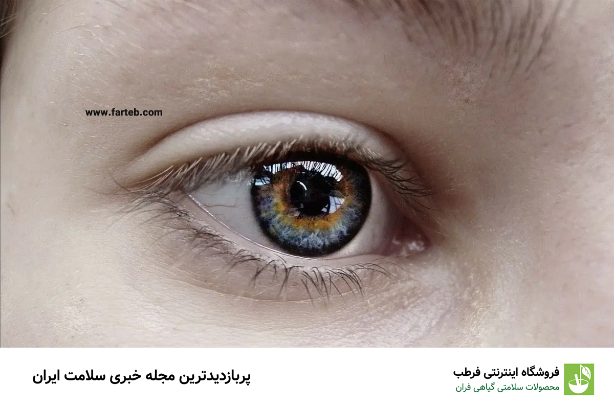 بخور نخور های تغذیه در تقویت چشم و بینایی + نکات مهم