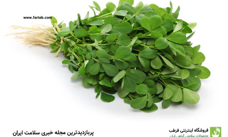 بهترین خواص شنبلیله + نحوه مصرف و عوارض آن