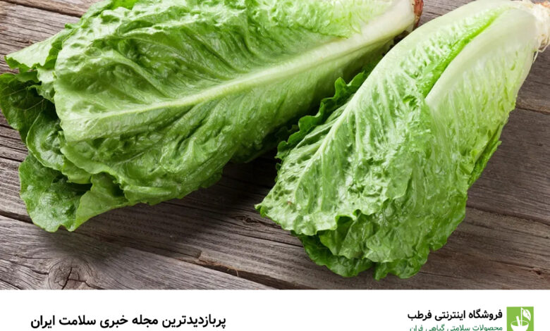 ۹ خاصیت شگفت‌انگیز کاهو نمی دانستید!