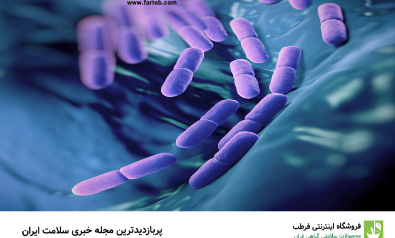پروبیوتیک‌ها حامیان کوچک سلامت بدن