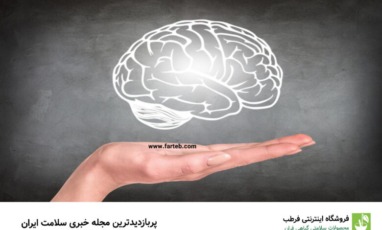 معرفی ۴ ماده خوراکی مضر برای سلامت مغز