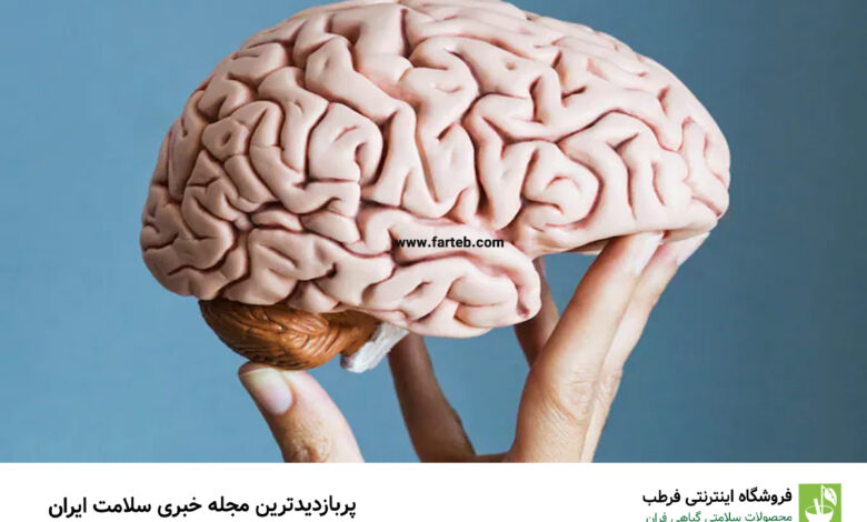 ۵ راه کمتر گفته شده برای جوان نگه داشتن مغز