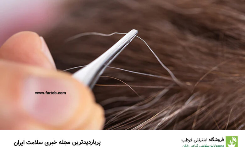 کندن موهای سفید خطر ابتلا به زخم و عفونت را افزایش می‌دهد