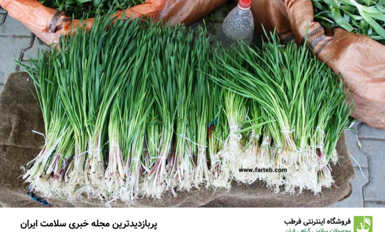 خواص گیاه معجزه گر شنگ و روش مصرف آن