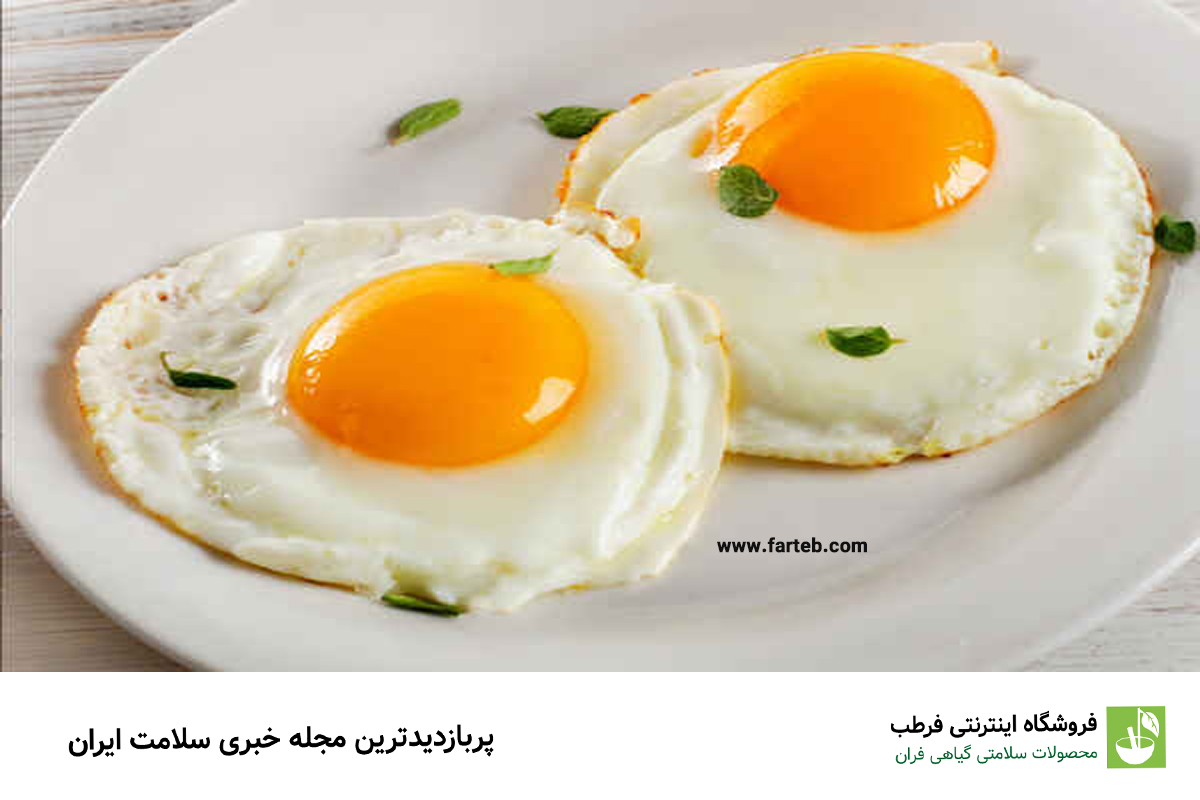 چرا دانشمندان خوردن روزی دو تخممرغ را توصیه میکنند؟