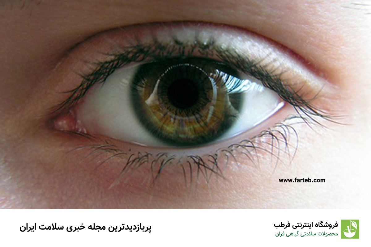 بخور نخور های تغذیه در تقویت چشم و بینایی + نکات مهم