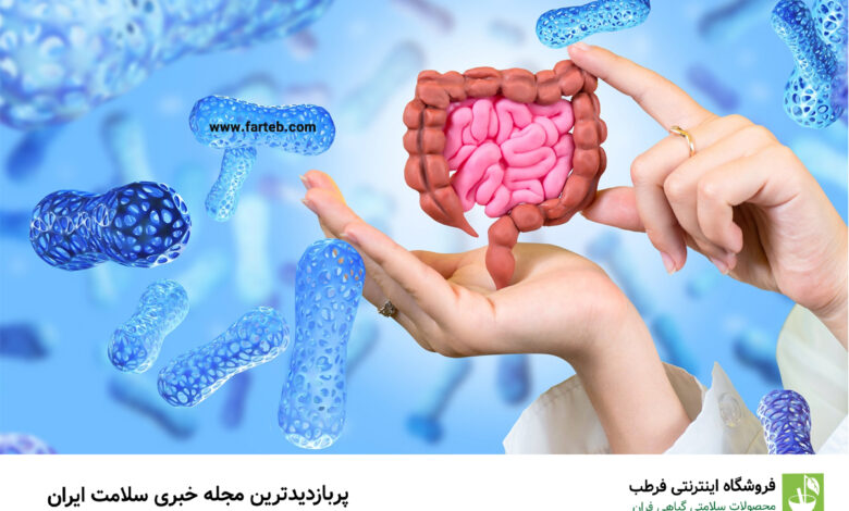 میکروب معده را با چه مواد غذایی از بین ببریم؟