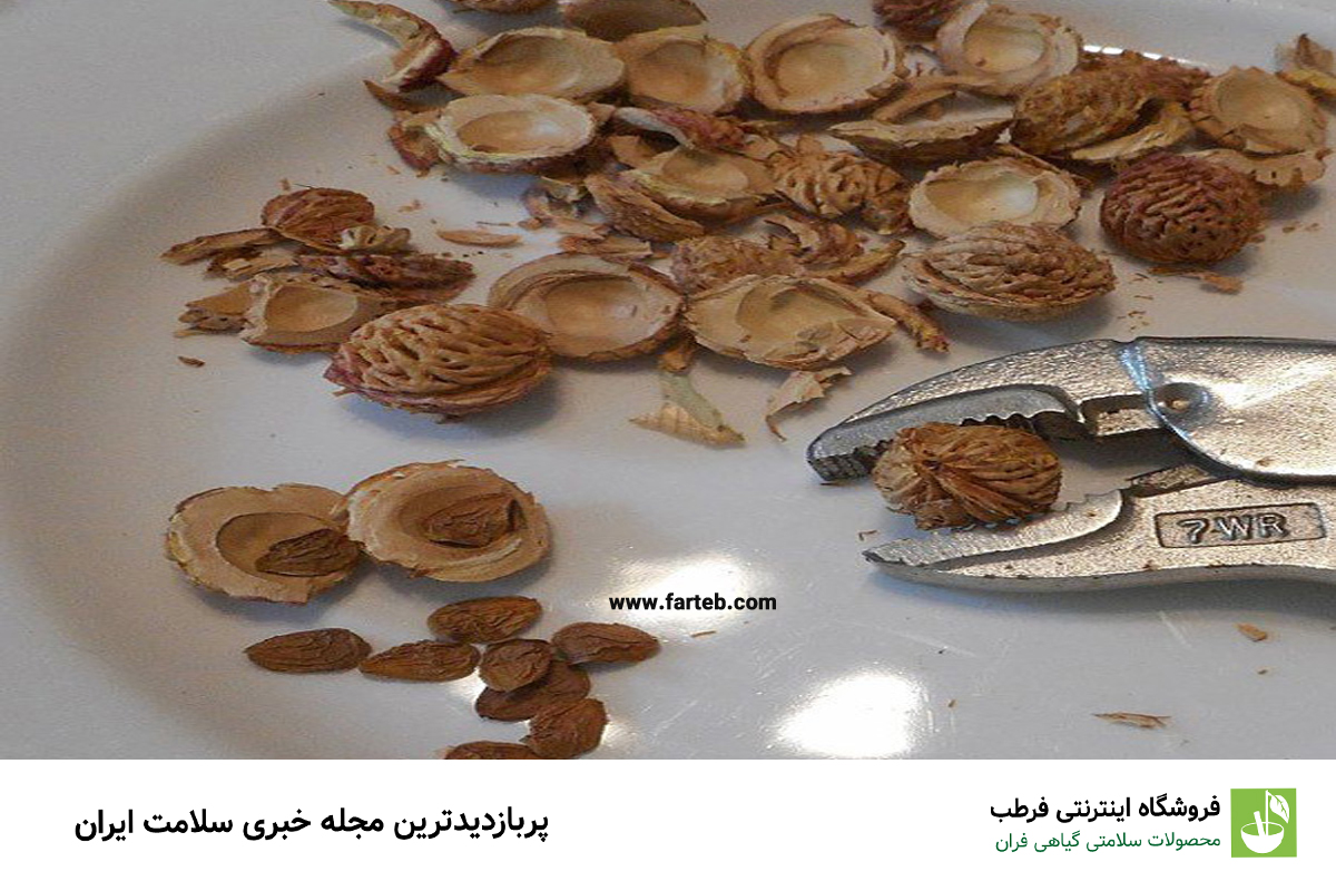 مغز هسته شلیل: کاهش‌دهنده طبیعی فشار خون