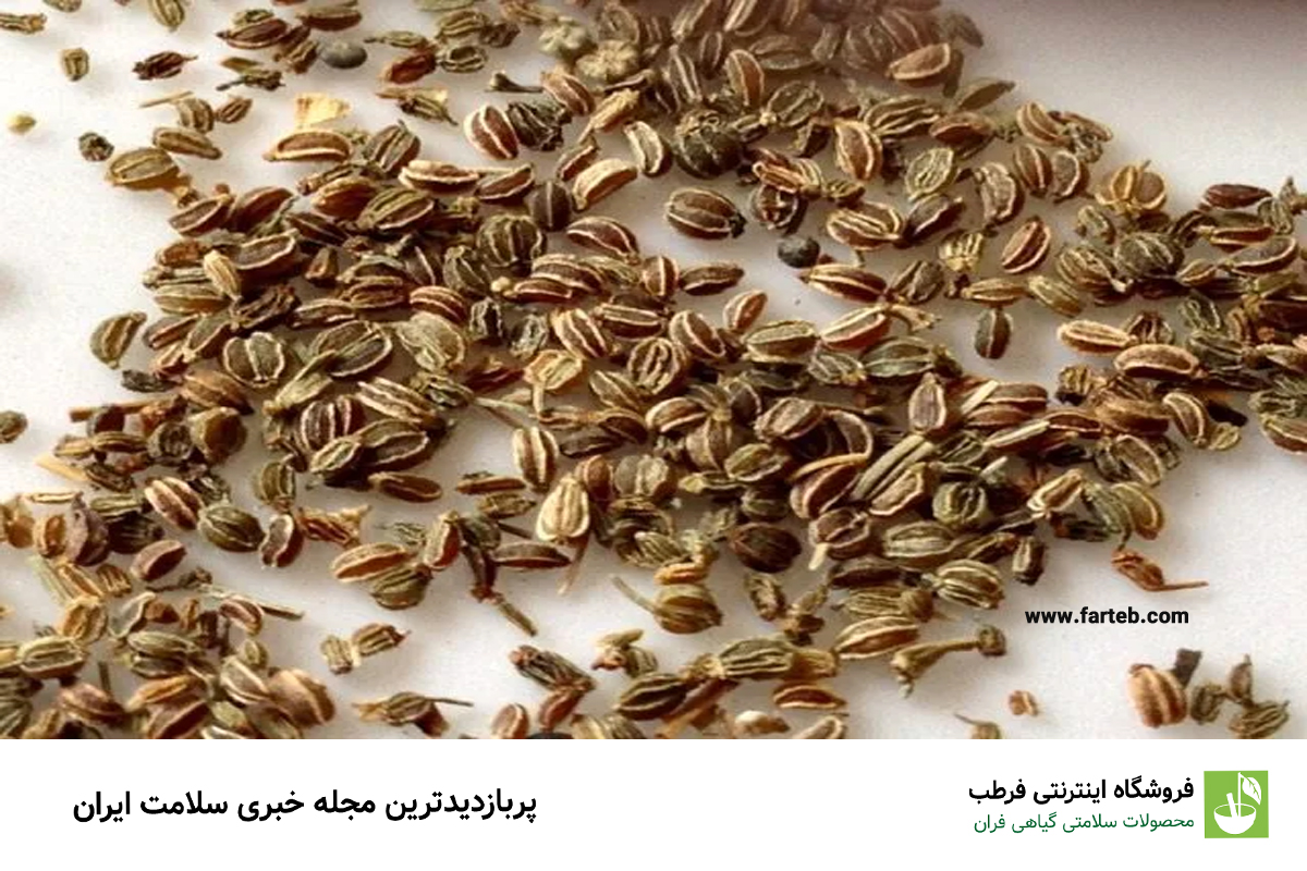 تخم کرفس: طعم‌دهنده و کاهنده فشار خون