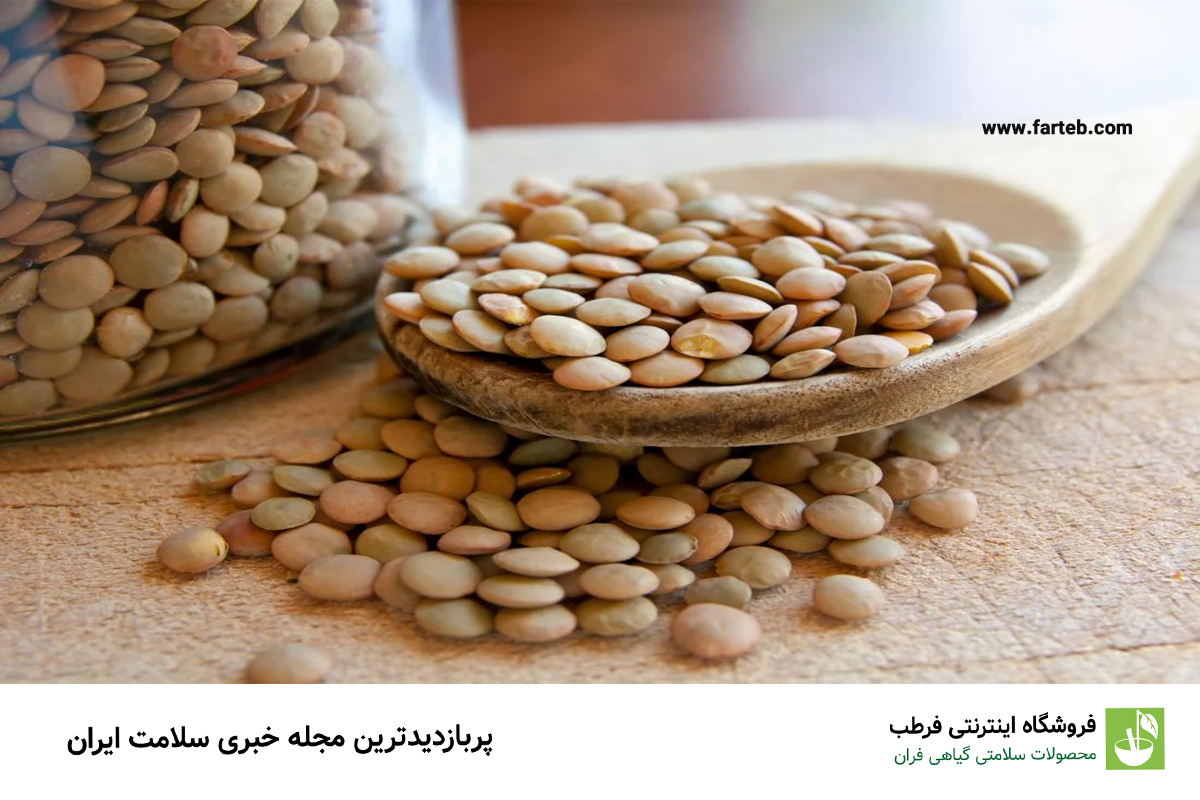 عدس: جایگزینی مغذی و خوشمزه برای گوشت قرمز