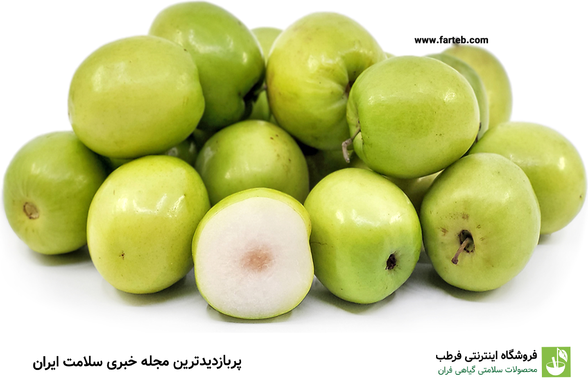 عناب: میوه‌ای مفید برای کاهش فشار خون