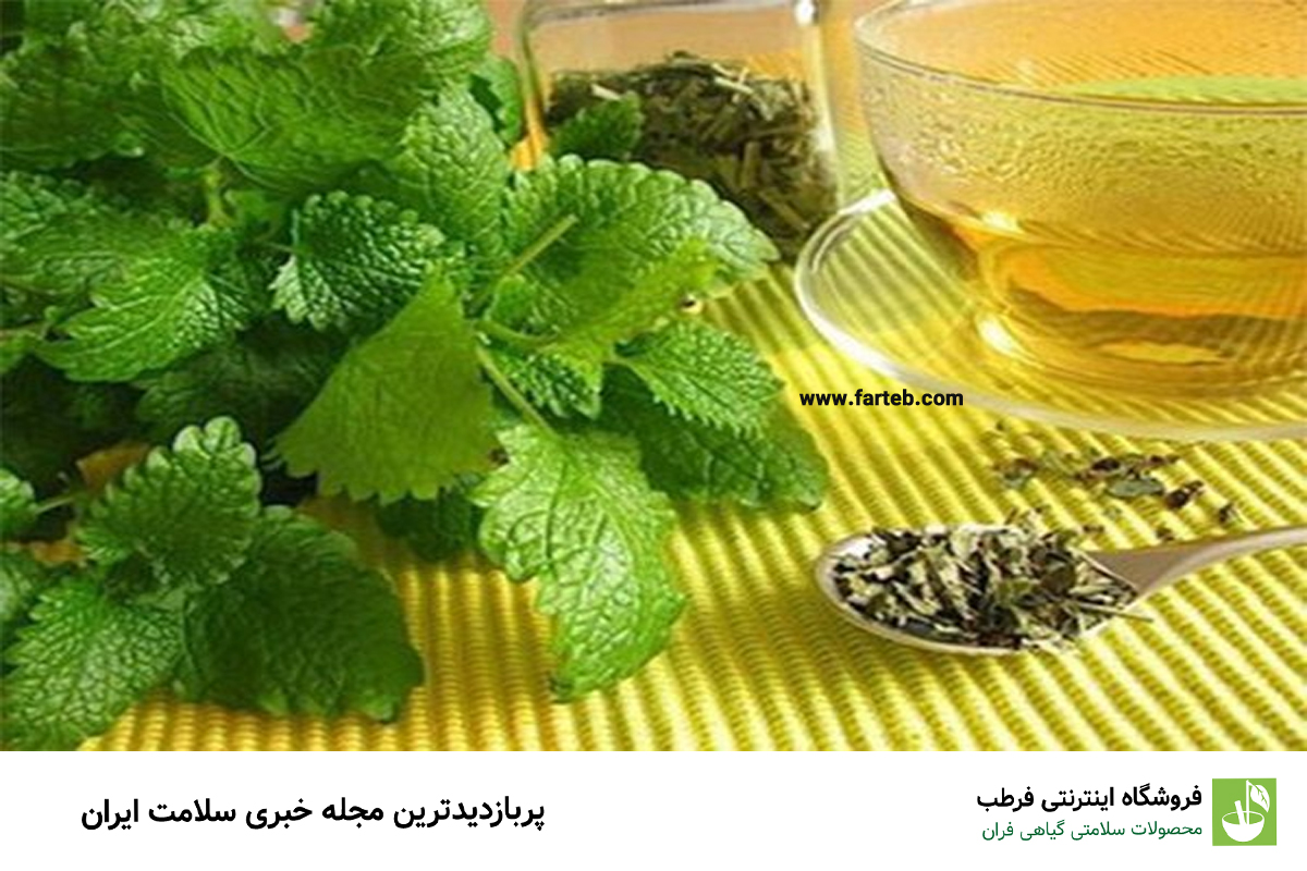 گیاه مورد علاقه ابوعلی سینا و راز سلامتی طبیعی