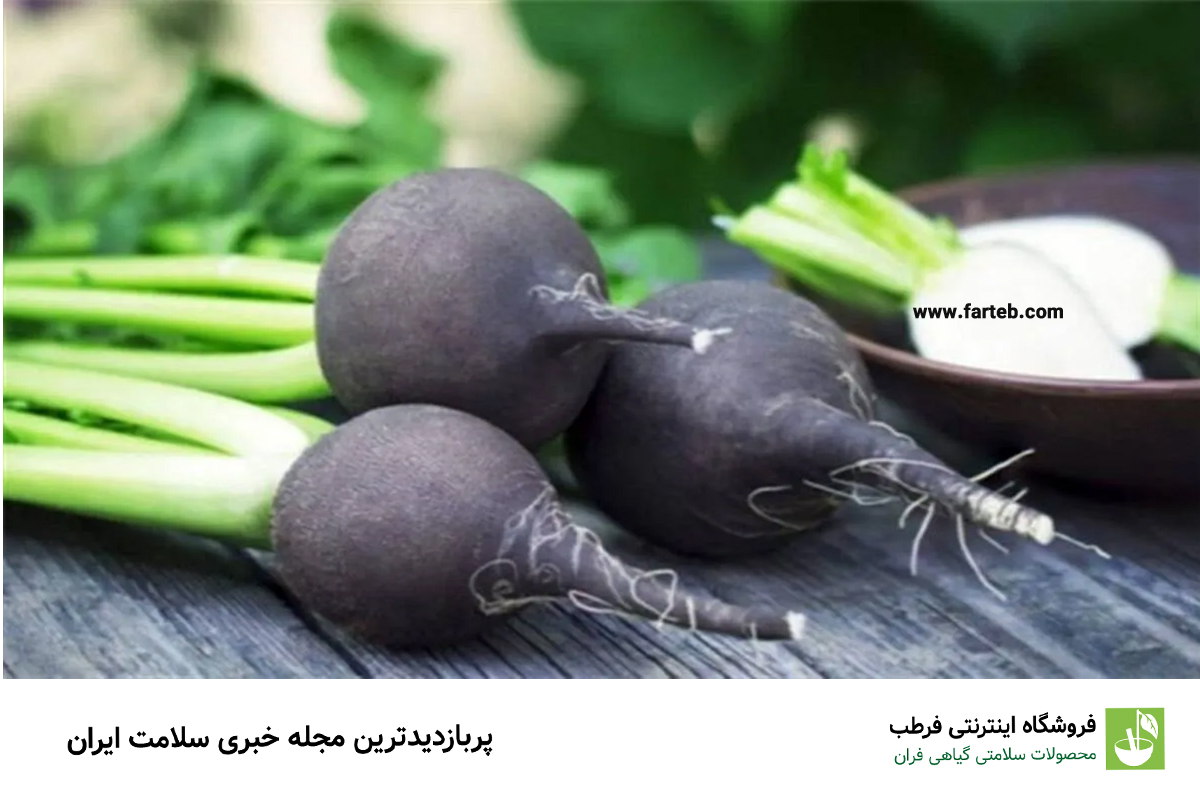 حقایقی در مورد ترب سیاه + خواص ترب سیاه برای سنگ کلیه