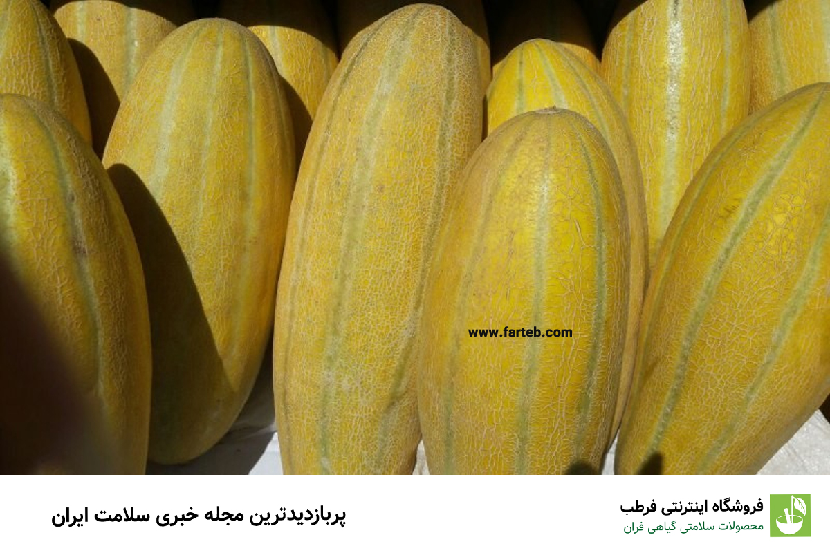 ۹ خواص و مضرات خربزه که باید بدانید