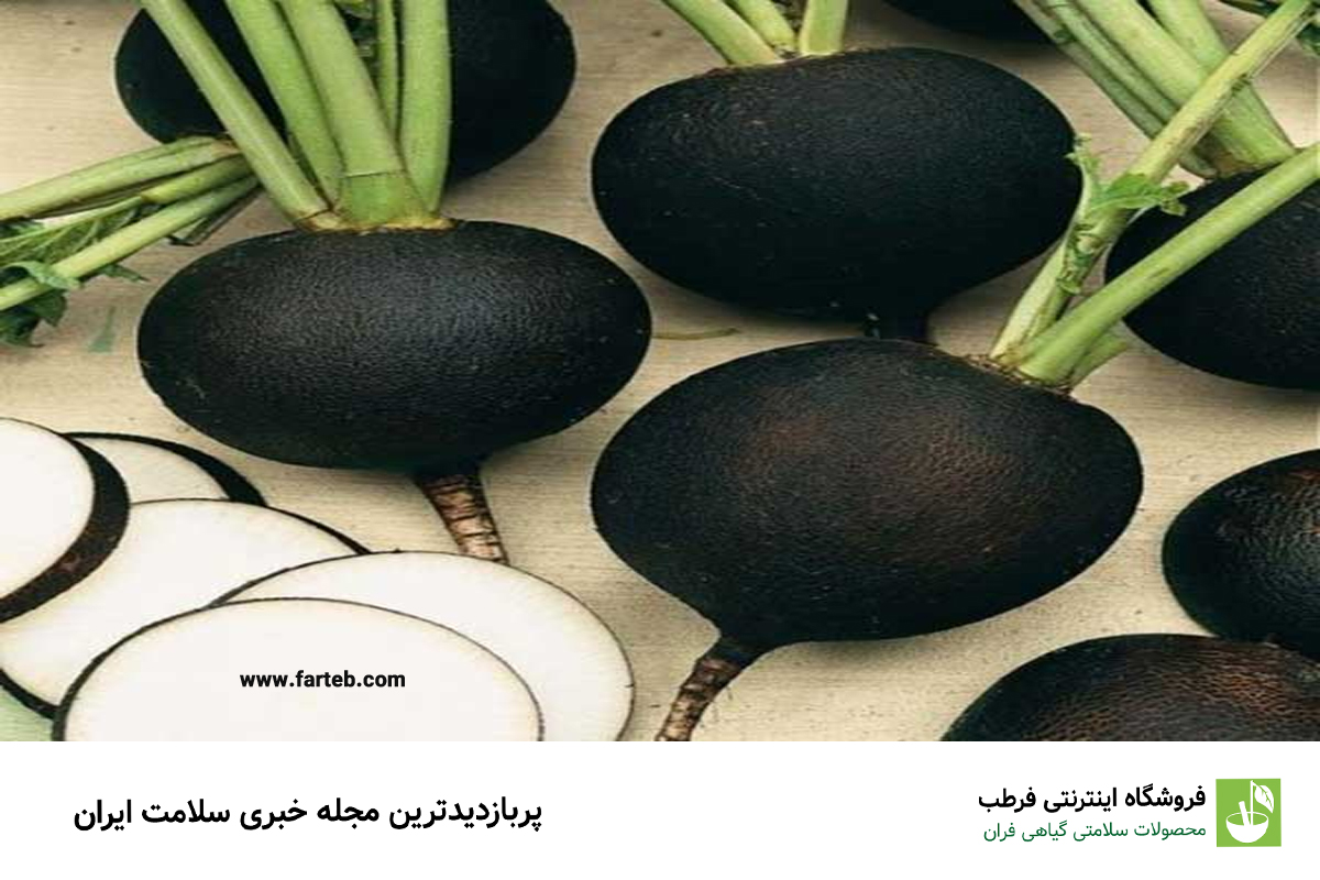 حقایقی در مورد ترب سیاه + خواص ترب سیاه برای سنگ کلیه