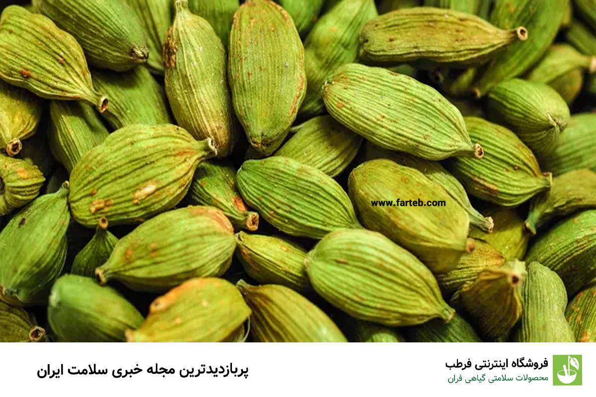 خواص شگفت‌انگیز هل برای کاهش وزن و لاغری: راز خوش اندامی با هل
