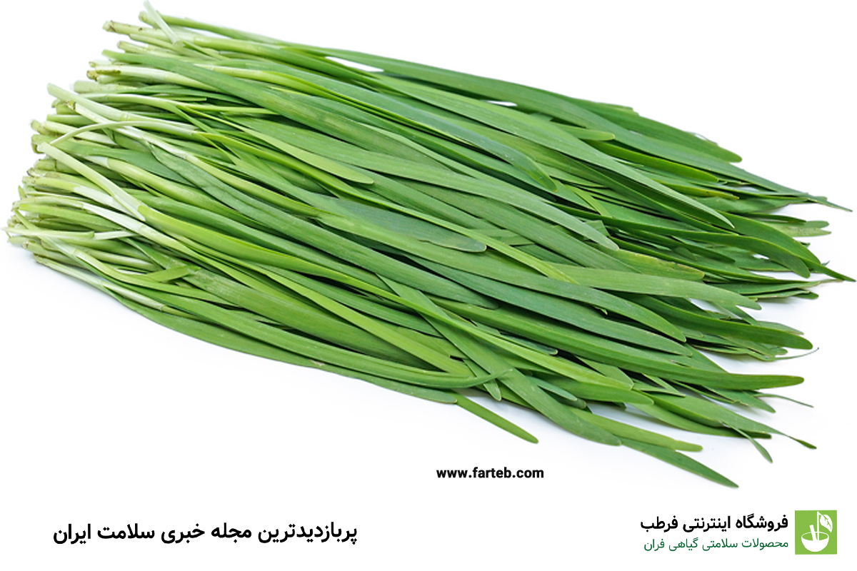 خواص برگ سیر برابر با یک داروخانه است