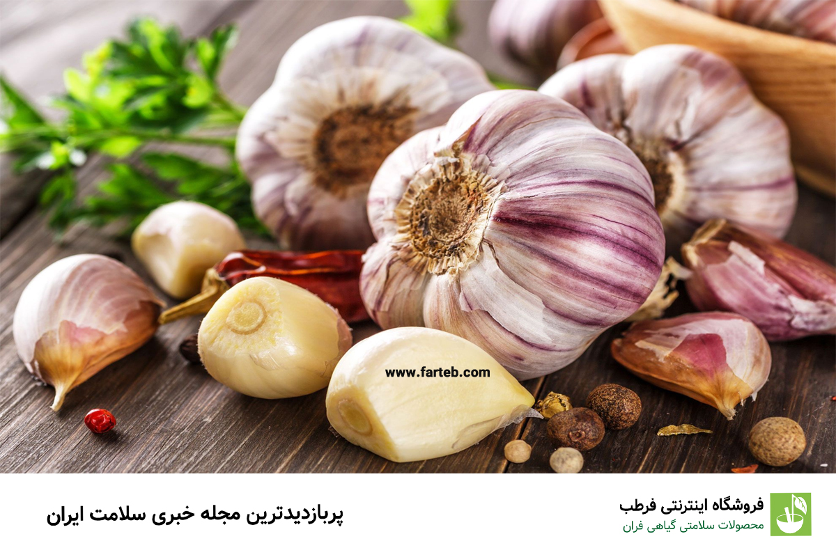 خواص خوردن سیر خام در شب؛ از کاهش وزن تا بهبود کیفیت خواب!