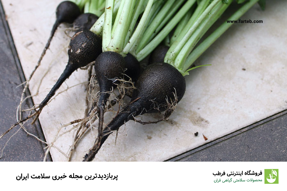 حقایقی در مورد ترب سیاه + خواص ترب سیاه برای سنگ کلیه
