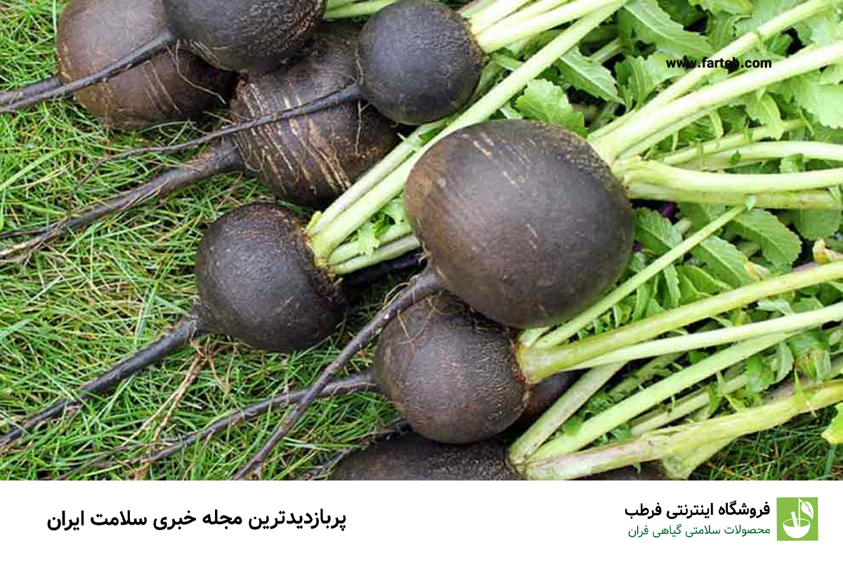 حقایقی در مورد ترب سیاه + خواص ترب سیاه برای سنگ کلیه