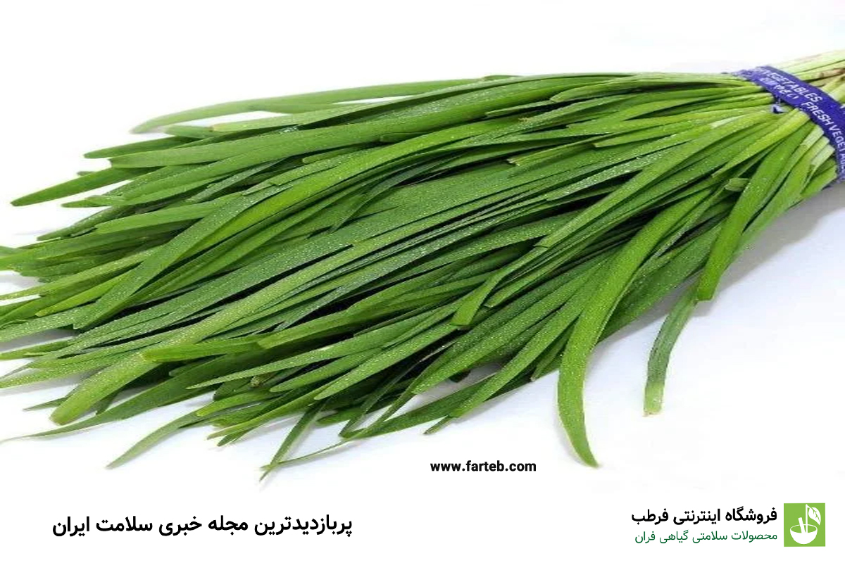 خواص برگ سیر برابر با یک داروخانه است
