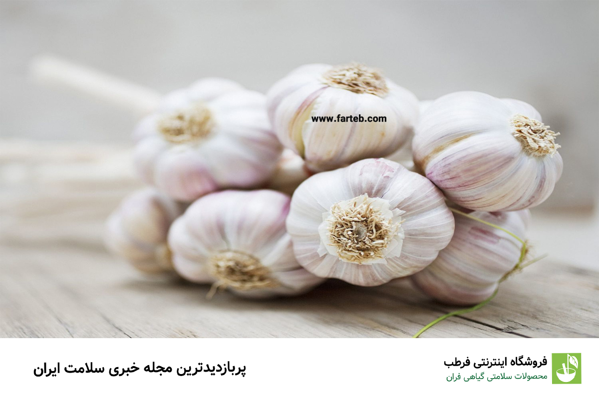 خواص خوردن سیر خام در شب؛ از کاهش وزن تا بهبود کیفیت خواب!