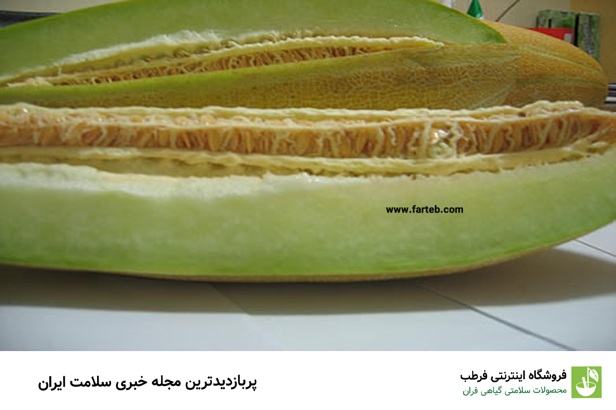 ۹ خواص و مضرات خربزه که باید بدانید