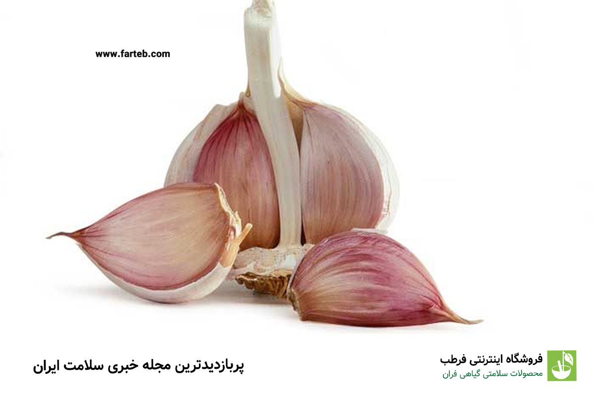 خواص خوردن سیر خام در شب؛ از کاهش وزن تا بهبود کیفیت خواب!