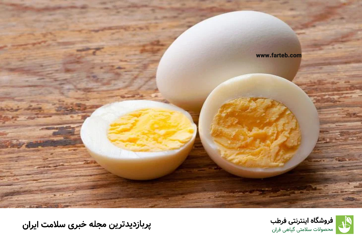 تخم‌مرغ: منبع پروتئین و ویتامین B12