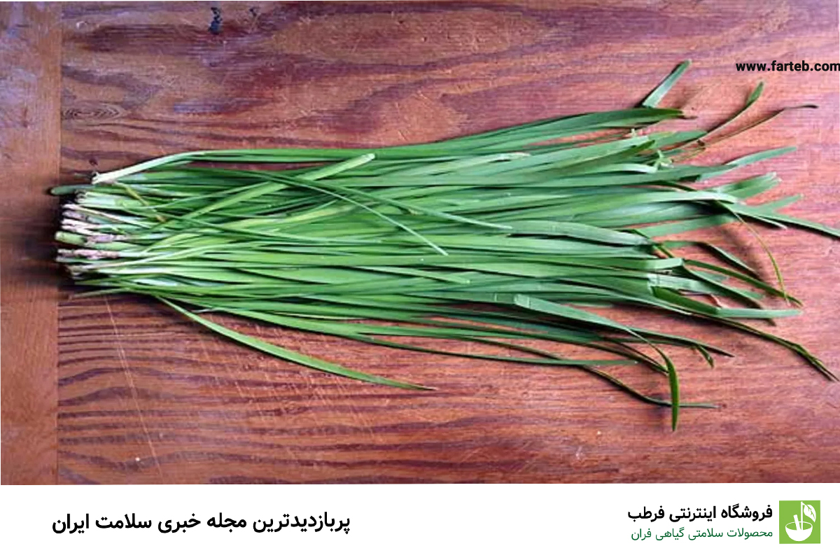 خواص برگ سیر برابر با یک داروخانه است