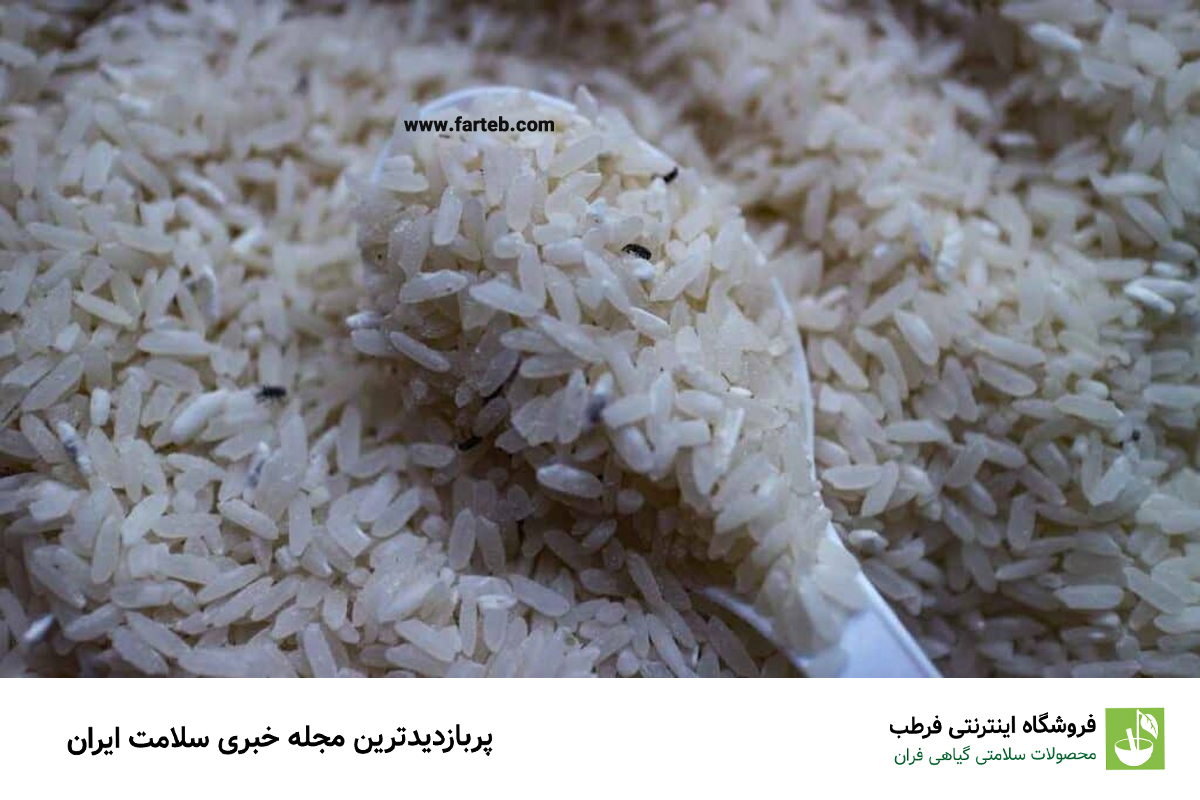 حشره برنج چیست؟ 3 راه از بین بردن تضمینی این حشره