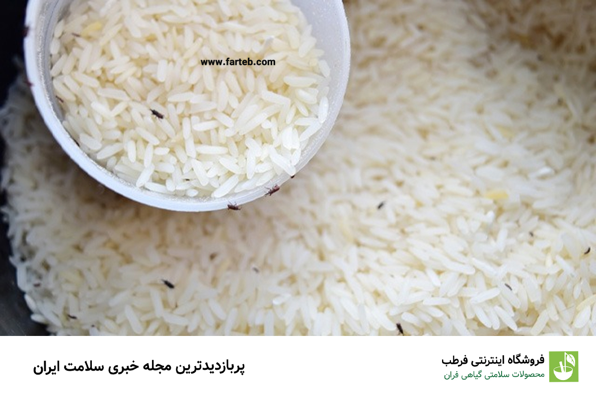 حشره برنج چیست؟ 3 راه از بین بردن تضمینی این حشره