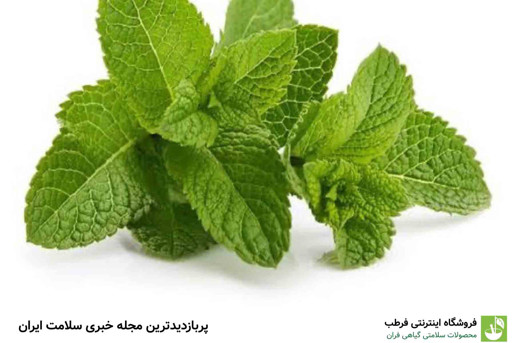چای نعناع
