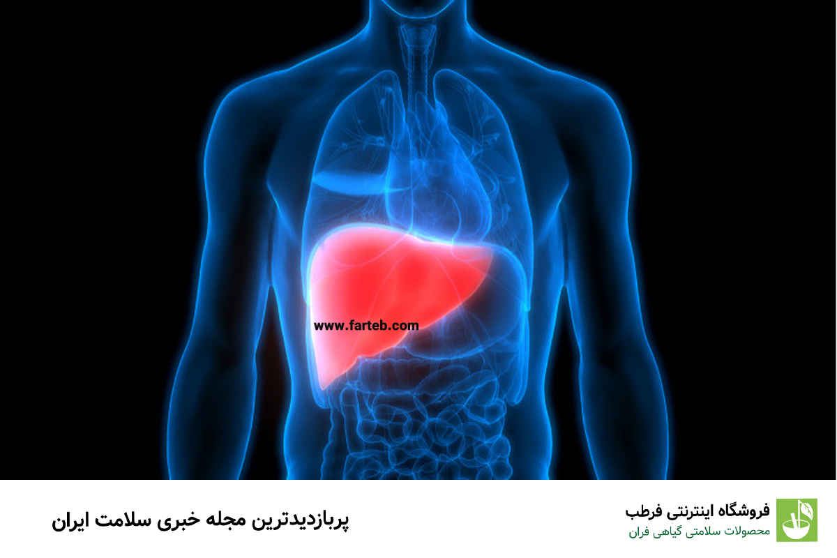 یکی از بیماری‌های خاموش که اغلب بدون علائم است اما می‌تواند برای فرد بسیار خطرناک باشد، کبد چرب است. این بیماری به دو نوع کلی تقسیم می‌شود: الکلی و غیرالکلی. کبد چرب غیرالکلی به چهار مرحله یا گرید تقسیم می‌شود. در گرید 3، زخم‌هایی در کبد ایجاد می‌شود که ناشی از انباشت چربی است. این زخم‌ها به طور مداوم توسط کبد ترمیم می‌شوند که این فرآیند باعث ایجاد فیبروز کبدی و اختلال کامل عملکرد کبد می‌گردد. در این مقاله از تیم فرطب، به بررسی کبد چرب گرید 3 و روش‌های درمان آن خواهیم پرداخت.