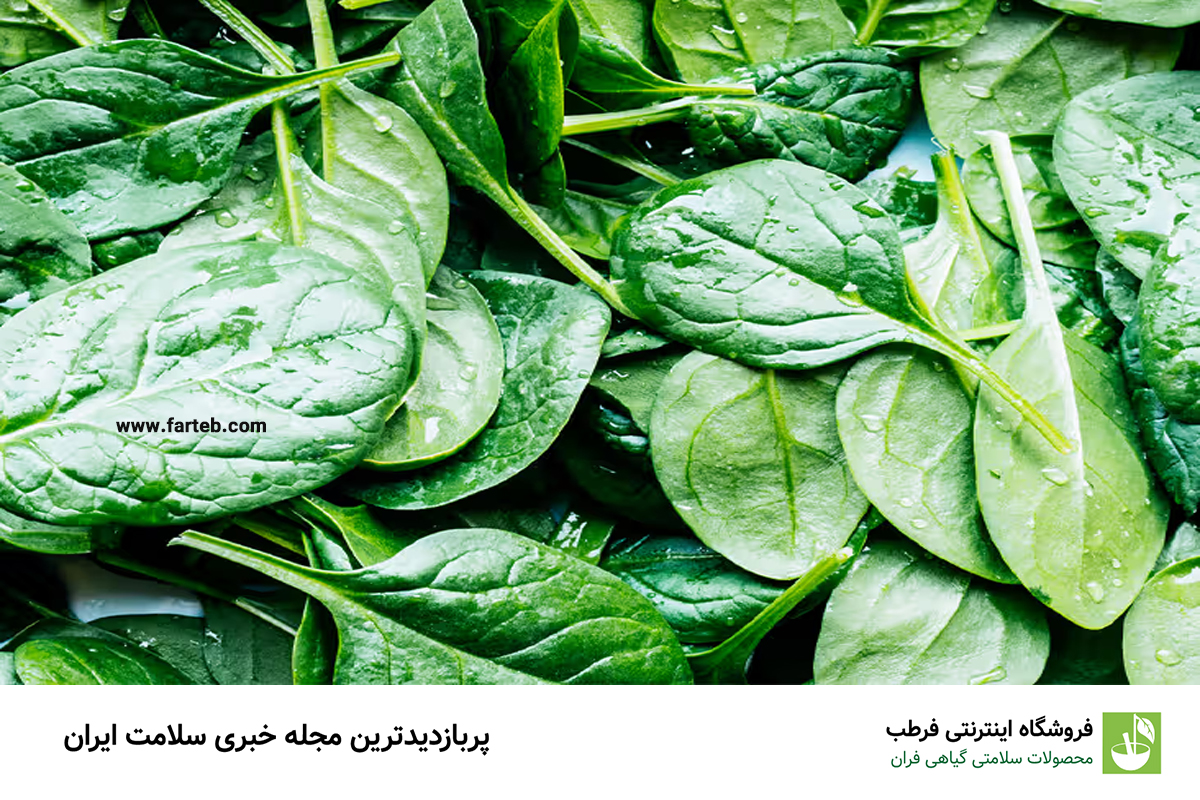 اسفناج: سرشار از ویتامین‌ها و آنتی‌اکسیدان‌ها