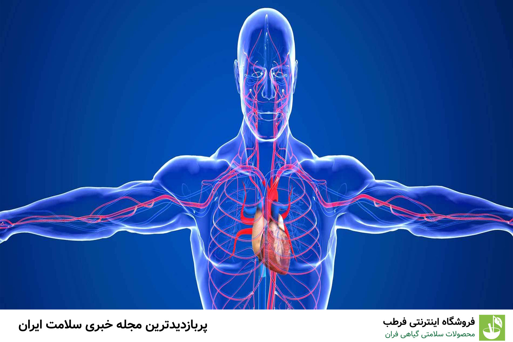 بهبود گردش خون