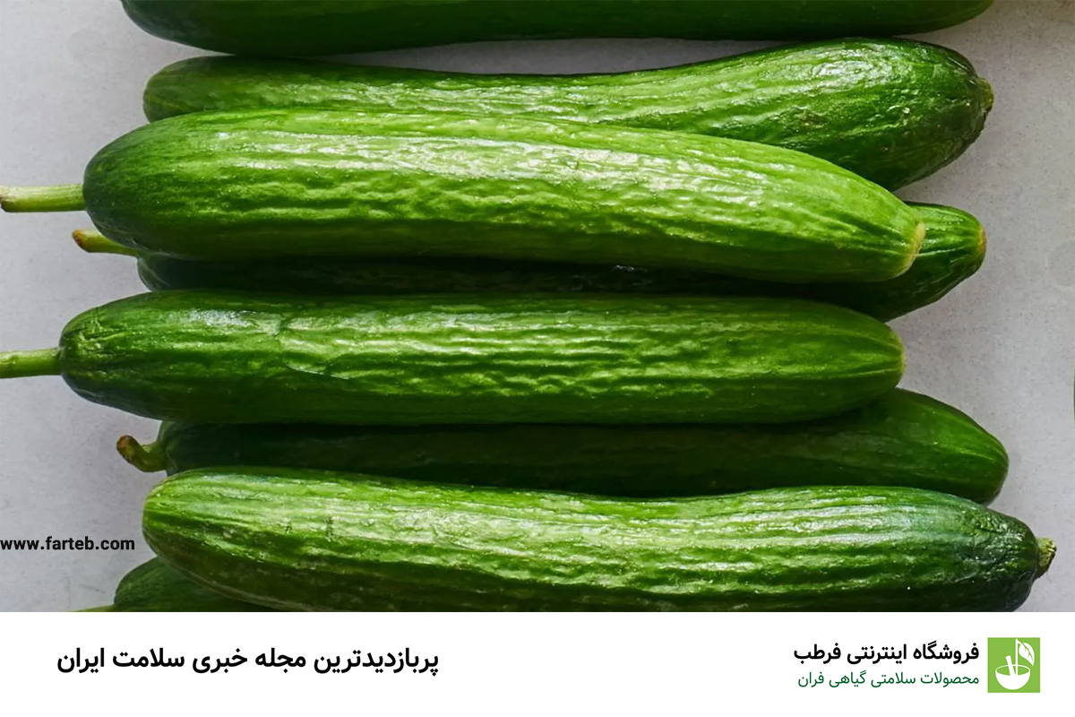 خیار: سبزی پرآب و کم‌کالری