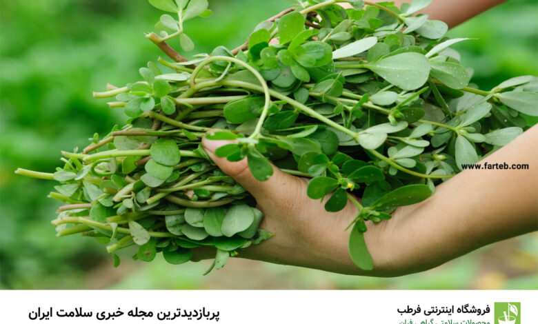 خواص خرفه برای زنان