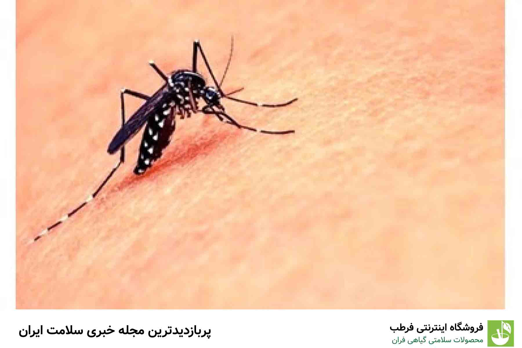 تأثیر آلودگی در کشورهای اروپایی