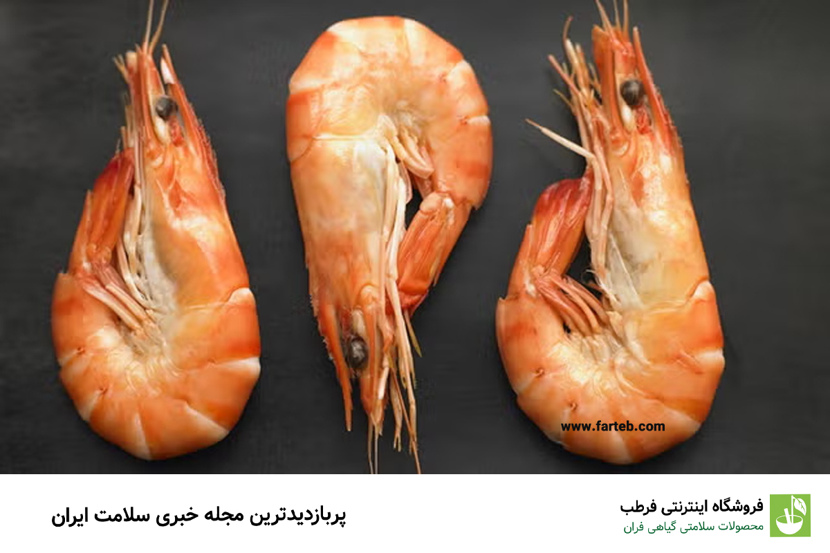 خواص میگو؛ گنجینه‌ای پنهان از مواد مغذی