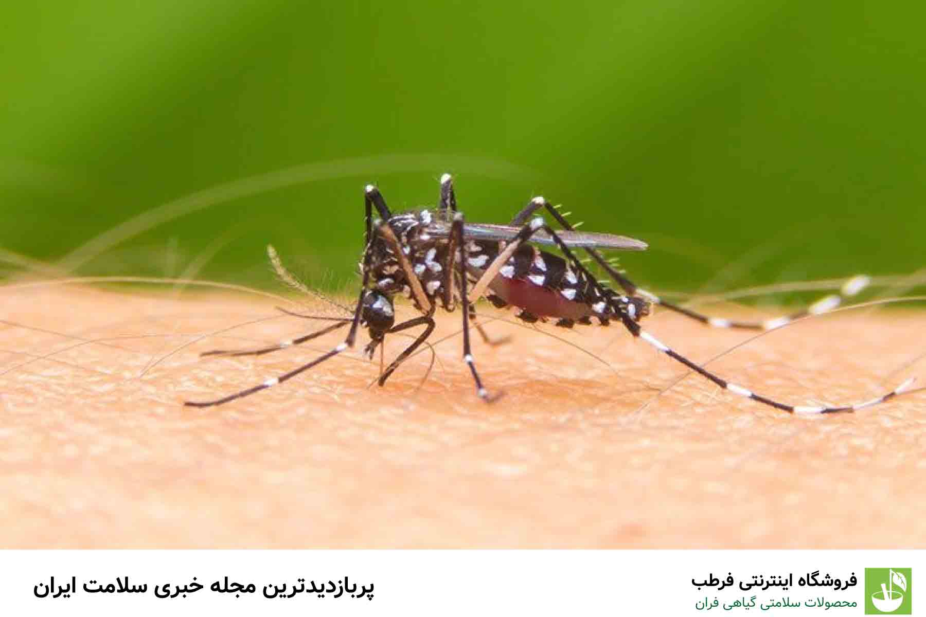 اقدامات پیشنهادی برای کنترل وضعیت