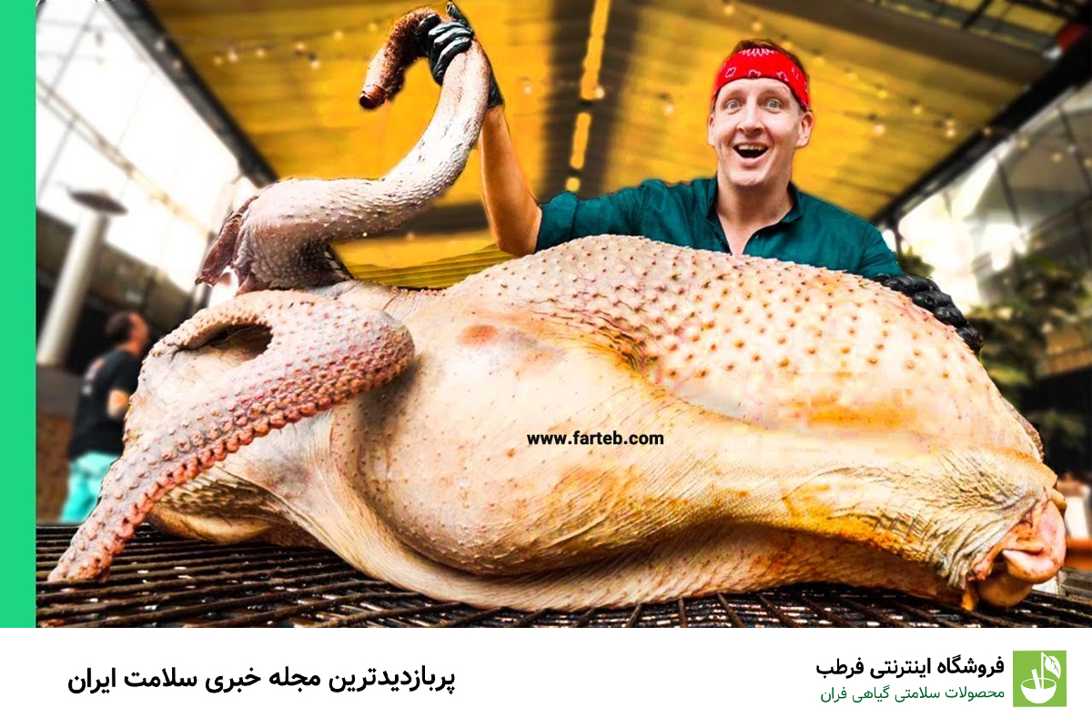 خواص باور نکردنی گوشت شترمرغ
