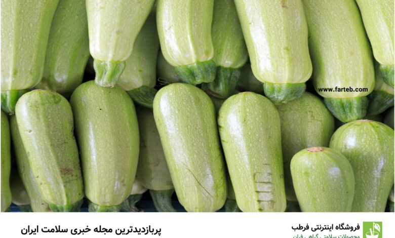 خاصیت کدو سبز (4 خاصیت)