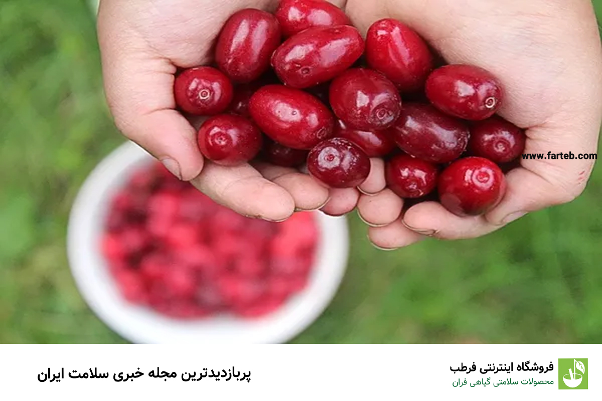 زغال‌اخته: منبع غنی آنتوسیانین‌ها
