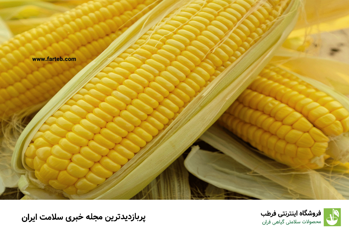مزایای بی نظیر ذرت برای جلوگیری از هموروئید