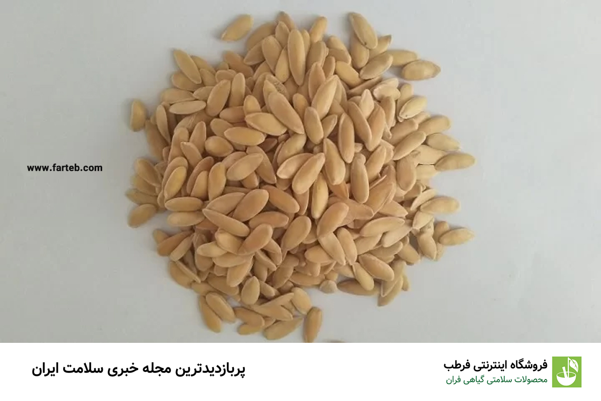 خواص تخم خربزه