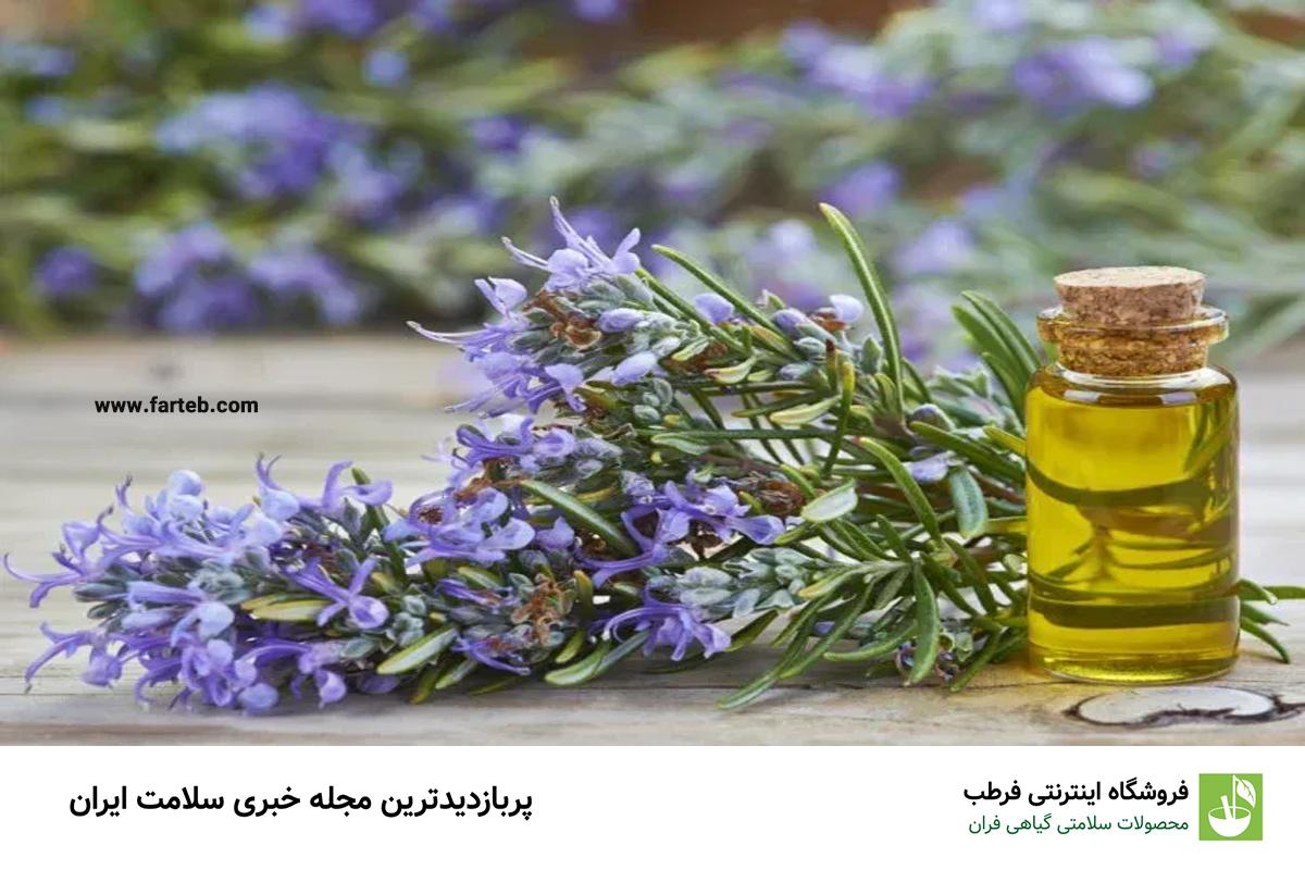 خواص روغن رزماری (تأثیر چشمگیر آن بر رشد موها)