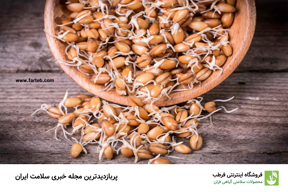 جوانه گندم: منبعی غنی از فولیک اسید
