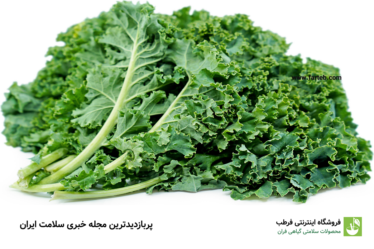 کلم کیل؛ انواع، خواص و نحوه مصرف این سبزی مغذی