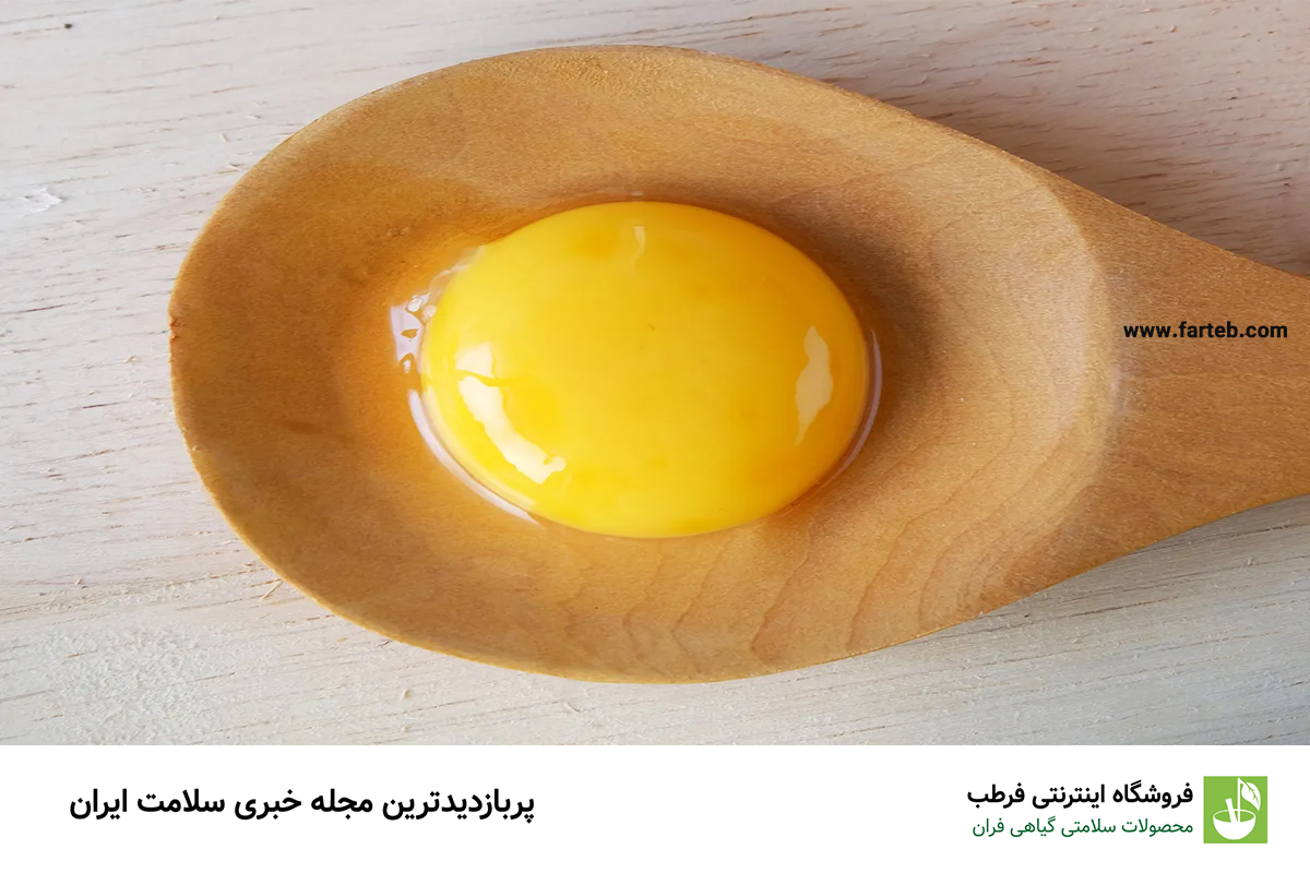 زرده تخممرغ: گنجینهای از مواد مغذی یا کالریهای اضافی؟